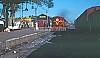 02550.jpg