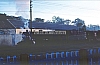 02575.jpg