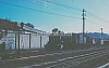 02585.jpg
