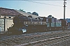 02589.jpg