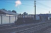 02590.jpg