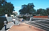 02591.jpg