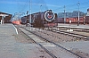02594.jpg