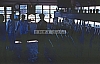 02600.jpg