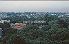 02619.jpg