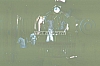 02634.jpg