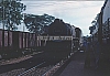 02644.jpg