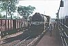 02645.jpg