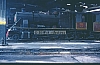 02650.jpg