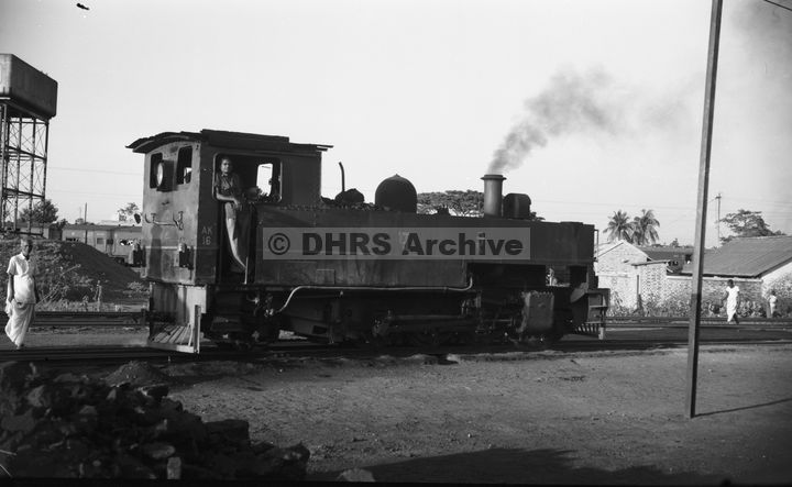 LM09438.jpg