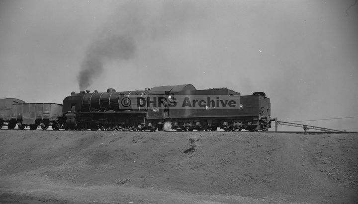 LM09444.jpg