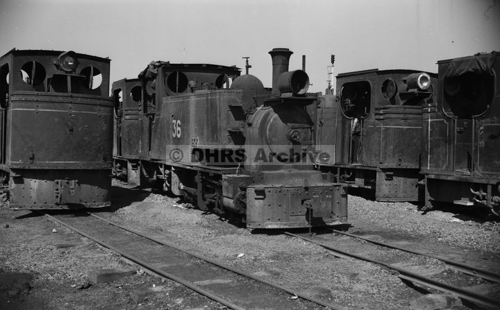 LM09447.jpg