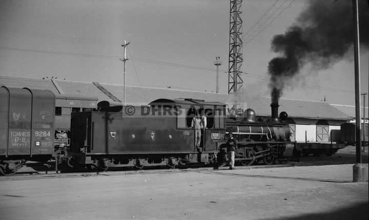 LM09466.jpg