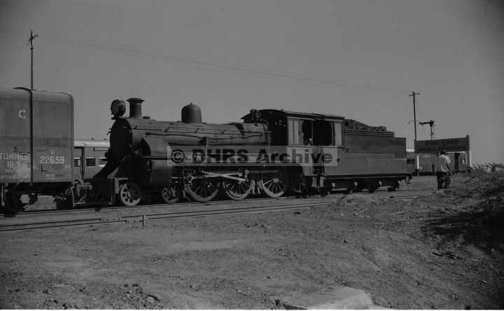 LM09489.jpg