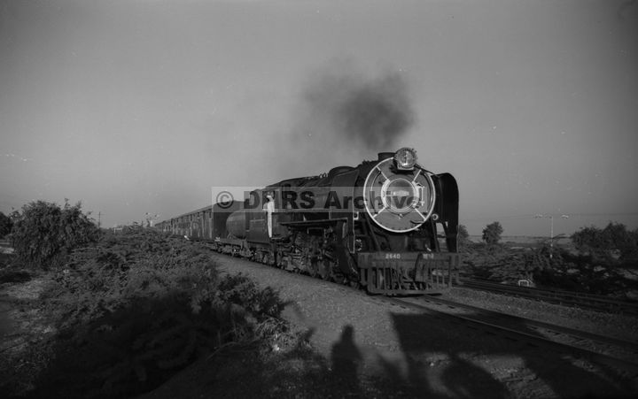 LM09493.jpg