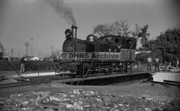 LM09498.jpg