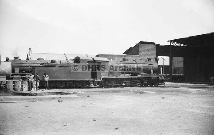LM10122.jpg