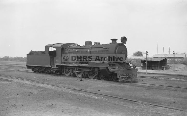 LM10123.jpg