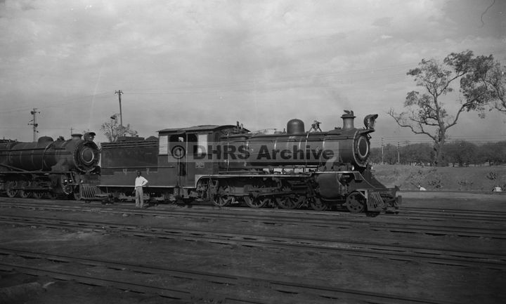 LM10253.jpg
