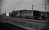 LM09418.jpg