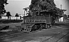 LM09419.jpg
