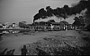 LM09423.jpg