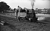LM09425.jpg