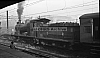 LM09427.jpg
