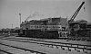 LM09429.jpg