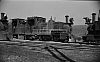 LM09446.jpg