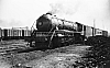 LM09456.jpg