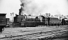 LM09457.jpg