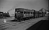 LM09477.jpg