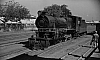 LM09480.jpg
