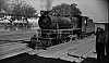 LM09481.jpg