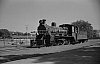 LM09484.jpg