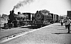 LM09486.jpg