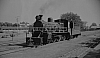 LM09487.jpg