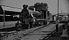 LM09488.jpg
