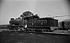 LM09490.jpg