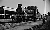 LM09491.jpg