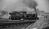 LM09495.jpg