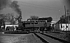 LM09497.jpg