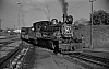 LM09499.jpg