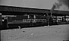 LM09508.jpg