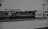 LM09509a.jpg
