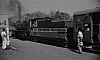 LM09511.jpg