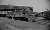 LM09513.jpg