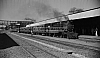 LM09521.jpg