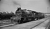 LM09522.jpg